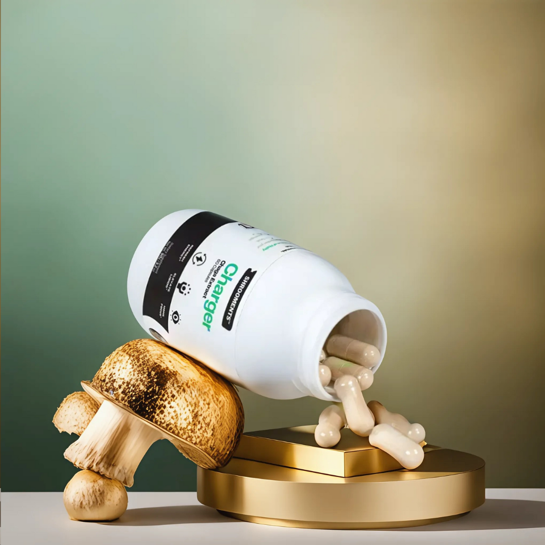 Charger Chaga Extract