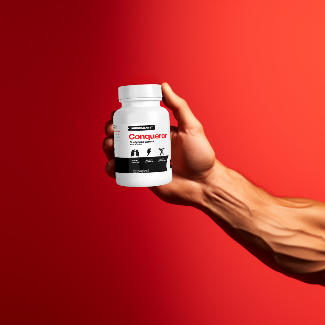 Conqueror Cordyceps Extract