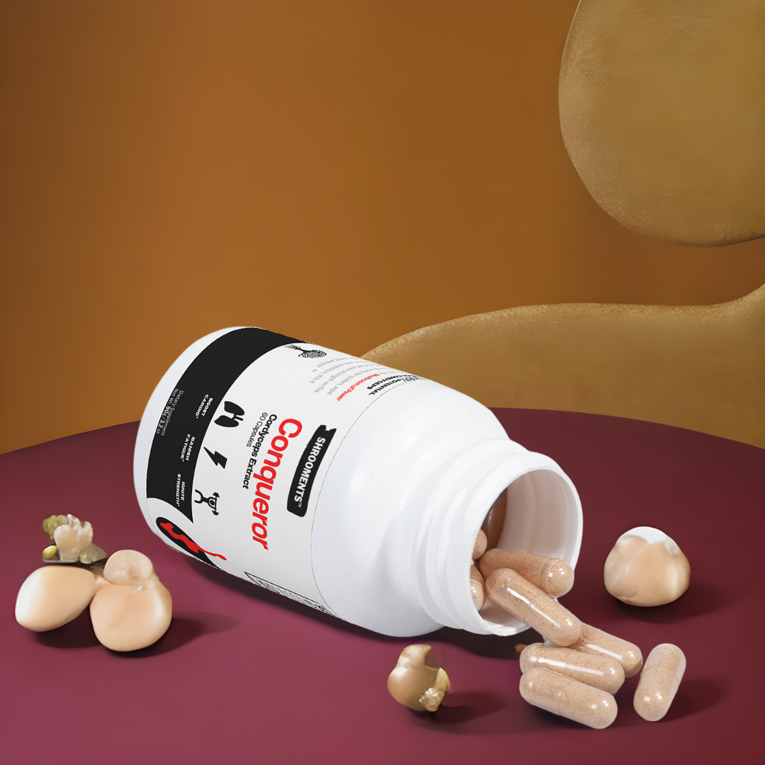 Conqueror Cordyceps Extract